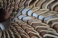 Wooden Coral Artworks Image 5