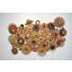 Wooden Coral Artworks Image 6