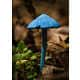 Ravishing Rainforest Photography Image 2