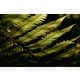 Ravishing Rainforest Photography Image 4