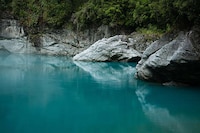 Ravishing Rainforest Photography Image 6