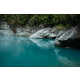 Ravishing Rainforest Photography Image 6