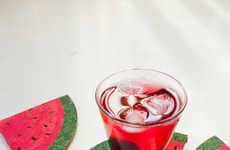 DIY Watermelon Coasters