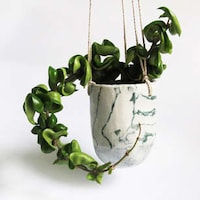 Chic Oceanic Ceramics Image 3