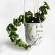 Chic Oceanic Ceramics Image 3
