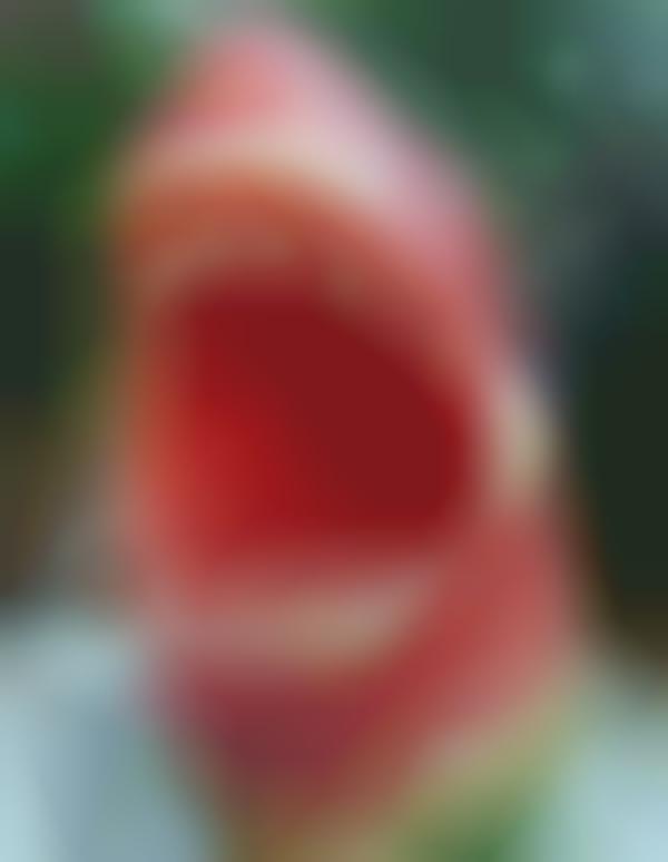 Ornate Watermelon Carvings (UPDATE)