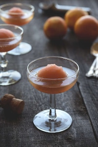 Boozy Sorbet Floats Image 7