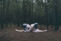 Bagged Body Collections Image 3