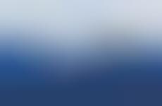 Wondrous Digital Artwork