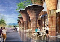 Tree-Top Pavilions Image 3