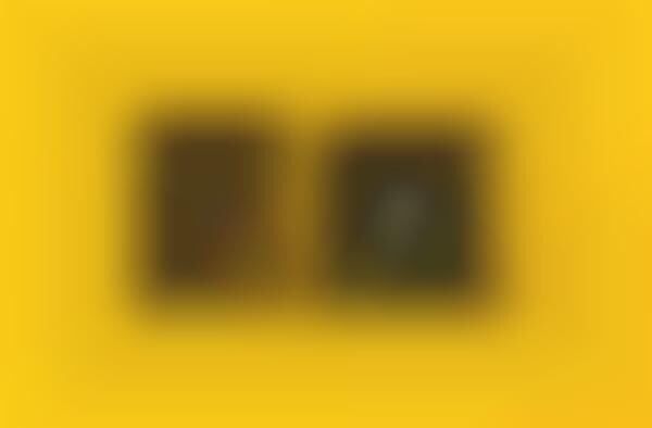 Separated Shipment Ads
