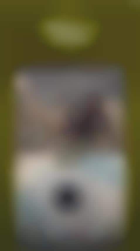 Video Remixing Apps