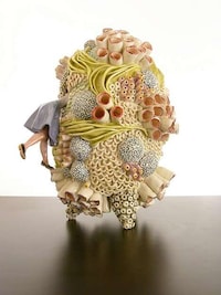 Fairytale Coral Reefs Image 6