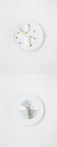 Monochromatic Culinary Palettes Image 2