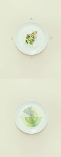 Monochromatic Culinary Palettes Image 3