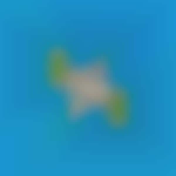 Modular Lunch Trays