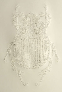 Etched Insect Artworks Image 2