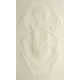 Etched Insect Artworks Image 4