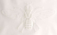 Etched Insect Artworks Image 6