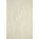 Etched Insect Artworks Image 7