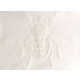 Etched Insect Artworks Image 8