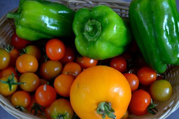 55 Healthy Social Innovations