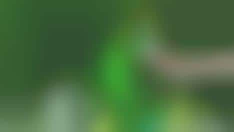 Synesthesia Simulation Apps