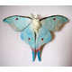 Embroidered Butterfly Sculptures Image 3