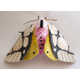 Embroidered Butterfly Sculptures Image 6