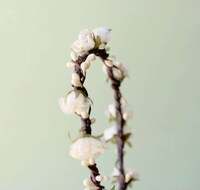 Bohemian Bridal Accessories Image 5