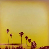 Photo-Inspired LA Paintings Image 7