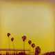 Photo-Inspired LA Paintings Image 7