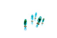 Fluorescent Fish Photography Image 2