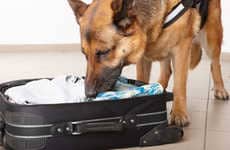 Bomb-Sniffing Nanotechnology