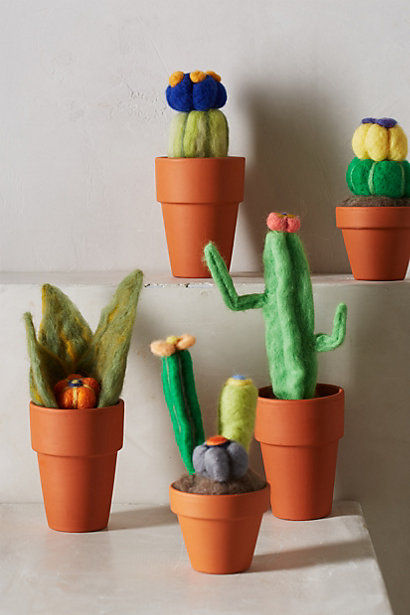 35 Prickly Cactus Creations