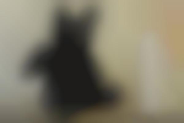 custom plush innovations