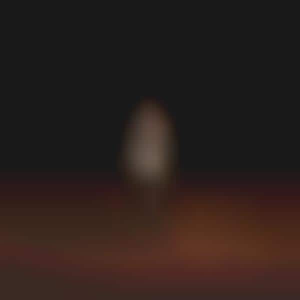 Stray Dog Photography
