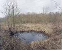 Haunting Holocaust Photos Image 2