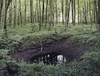 Haunting Holocaust Photos Image 3