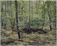 Haunting Holocaust Photos Image 5