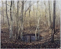 Haunting Holocaust Photos Image 7