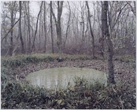 Haunting Holocaust Photos Image 8