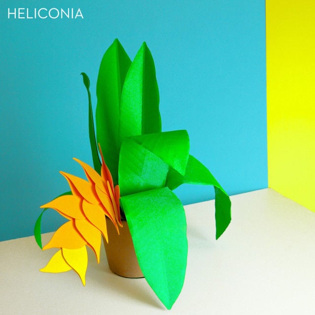 Printed Paper Flowers