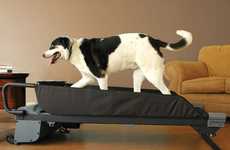 Pet Treadmills