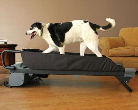 Pet Treadmills
