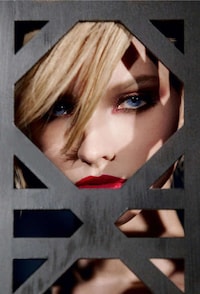 Retro Vixen Campaigns Image 2