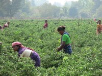 Suvankar Mishra of eKutir (INTERVIEW) Image 2