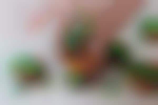 Decieving Hamburger Cookies