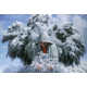 Ethereally Surreal Artwork (UPDATE) Image 6