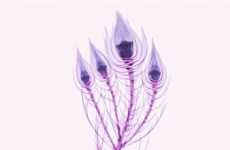 X-Ray Object Photography